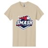 Heavy Cotton 100% Cotton T Shirt Thumbnail